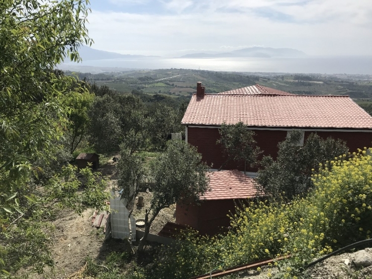 Kuşadası’nda Ormanlık Alandaki Kaçak Hobi Bahçeleri Mühürlendi