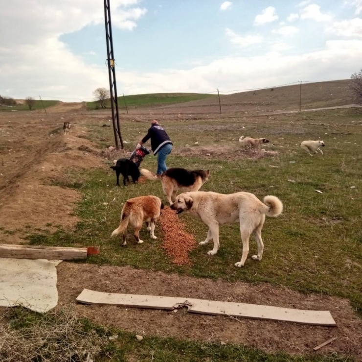 Sokağa Çıkma Yasağında Çalışmalar Devam Ediyor