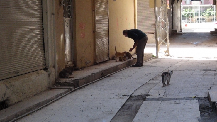 10 Yıldır Sahipsiz Kedilere Bakan Esnaf Sokağa Çıkma Kısıtlamasında Da Kedileri Yalnız Bırakmadı