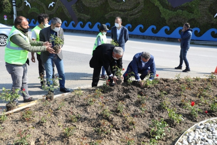 Ordu’da İsme Göre Fidan Dikiliyor