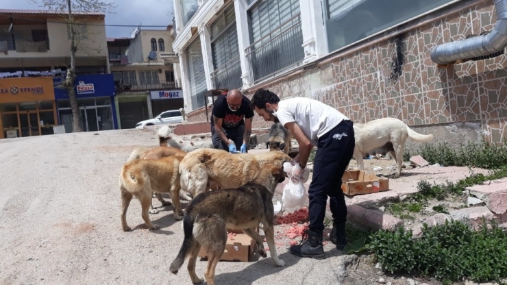 Doğa Koruma Ve Milli Parklar Ekipleri Aç Kalan Hayvanları Unutmadı