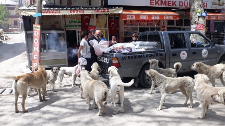 Doğa Koruma Ve Milli Parklar Ekipleri Aç Kalan Hayvanları Unutmadı