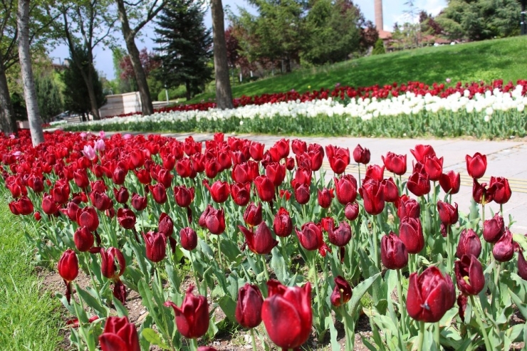 Başkentin Sembol Mekanları Boş Kaldı