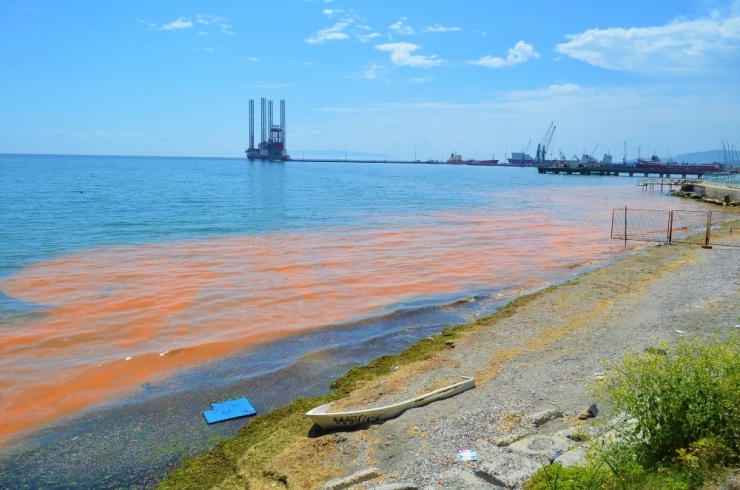 Marmara Denizi Yine Turuncuya Büründü