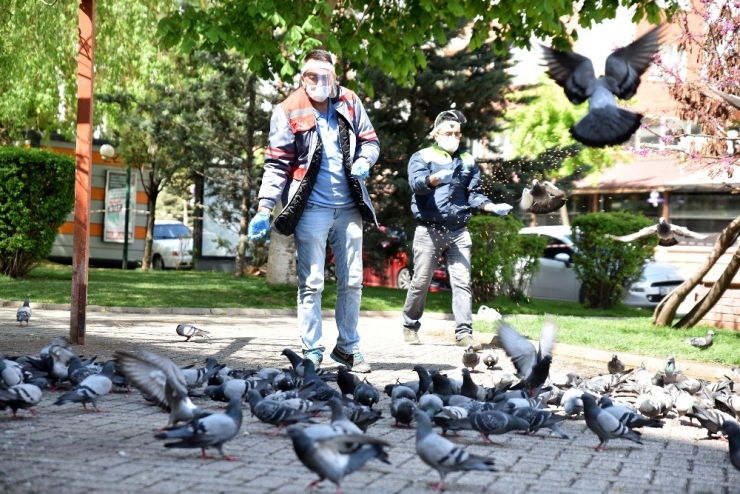 Tepebaşı’nda Sokak Hayvanları İçin Mama Bırakıldı