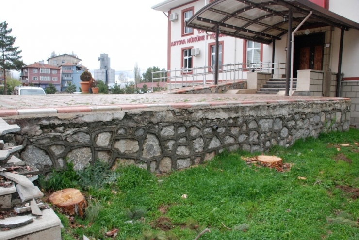 Dallarına Konan Kuşlar Yere Pisliyor Diye Ağaçları Kestiler