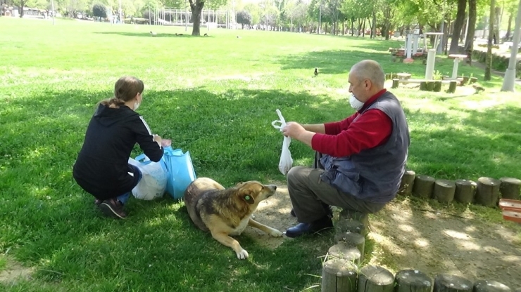 3 Yıldır Elleriyle Beslediği Kargayı Kısıtlama Günlerinde De Aç Bırakmadı