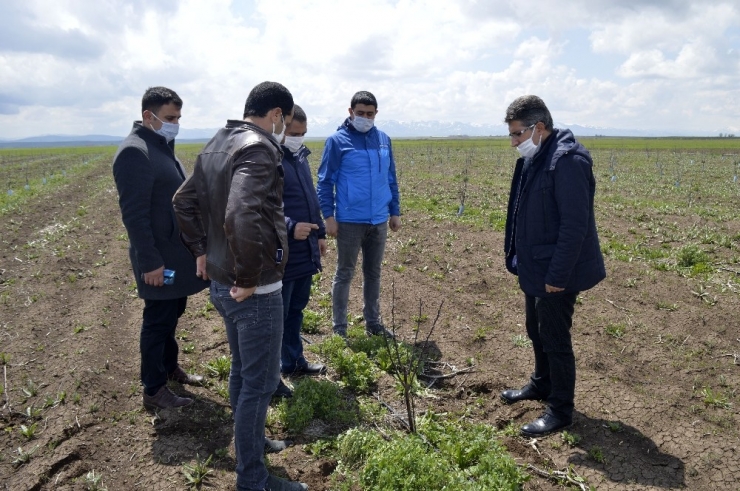 Ağrılı Çiftçiler Üretime Devam Ediyor