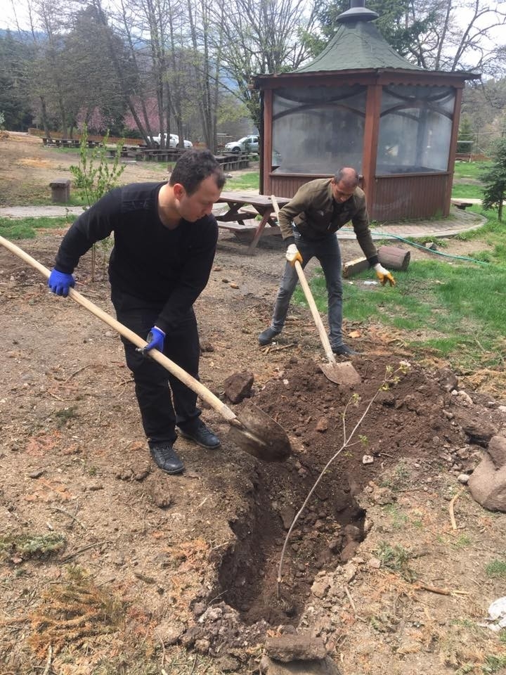 Bolu’da, Gölcük Tabiat Parkı’na Fidan Dikimi Yapıldı