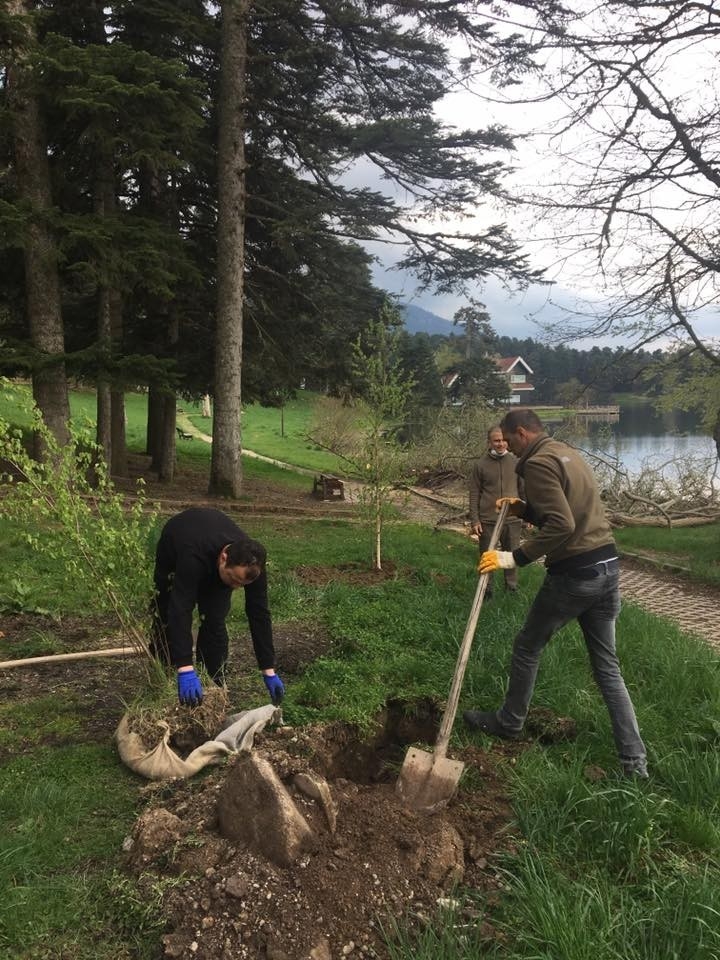 Bolu’da, Gölcük Tabiat Parkı’na Fidan Dikimi Yapıldı