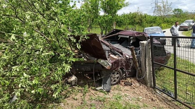 Virajı Alamayan Sürücü Fındık Bahçesine Girdi