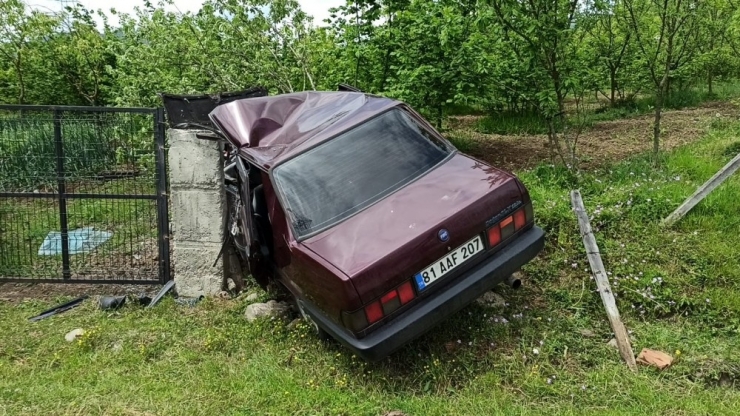 Virajı Alamayan Sürücü Fındık Bahçesine Girdi
