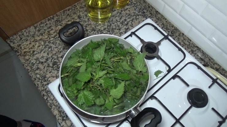 Korona Virüse Karşı Isırgan Otundan Yemeklerle Korunuyorlar