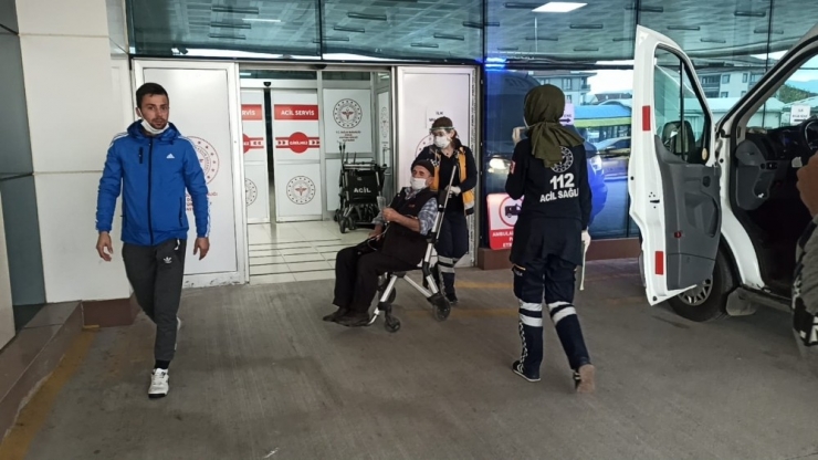 Kovandan Kraliçe Arıyı Almak İsterken Hastanelik Oldu