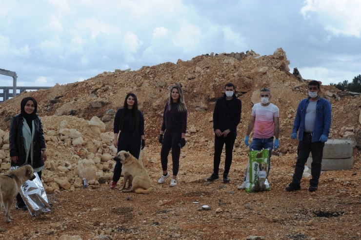 Kısıtlama Nedeniyle Aç Kalan Köpekleri Elleriyle Beslediler