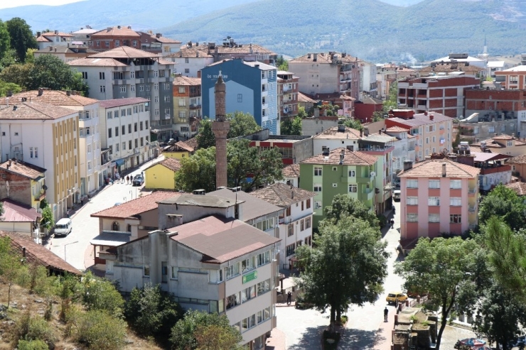 Kavak Üretim Gücüyle Ulusal Ekonomiye Katkısını Arttırıyor