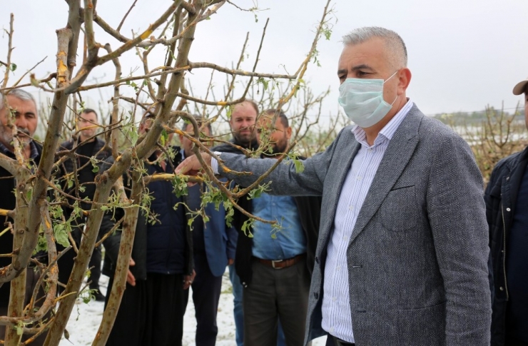 Mhp’li Şimşek: "Doludan Zarar Gören Üreticilere Devletin Şefkat Eli Uzatılmalı"
