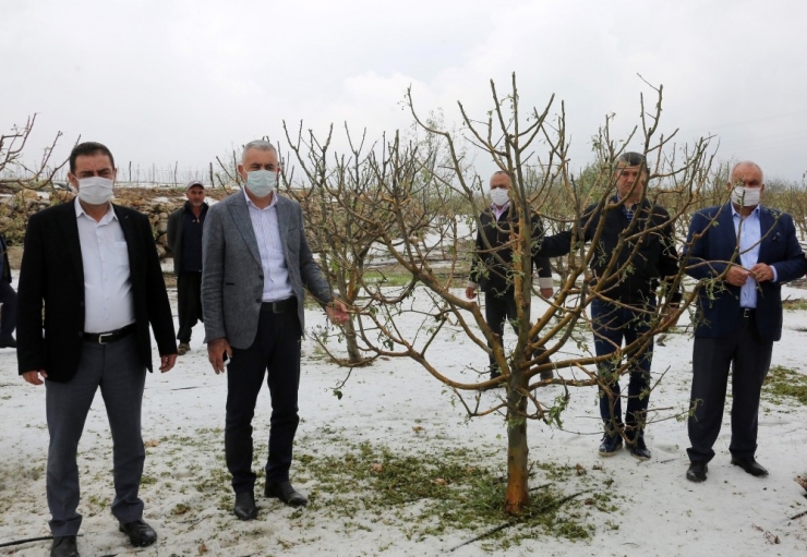 Mhp’li Şimşek: "Doludan Zarar Gören Üreticilere Devletin Şefkat Eli Uzatılmalı"