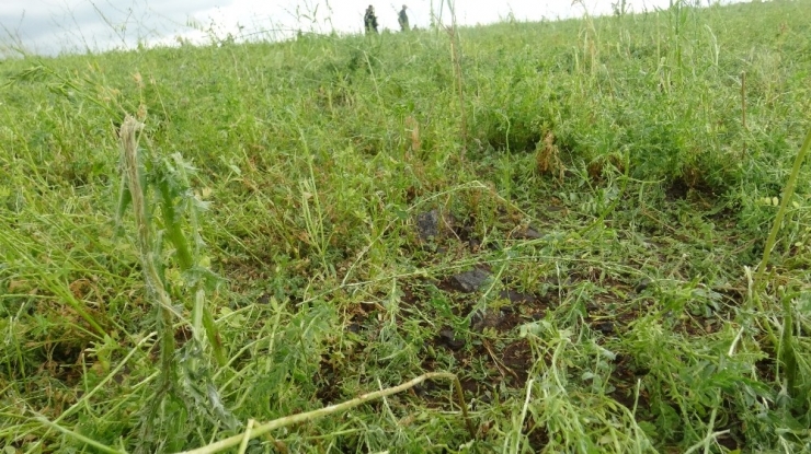 Şanlıurfa’da Dolu Yağışı Ekili Arazileri Vurdu