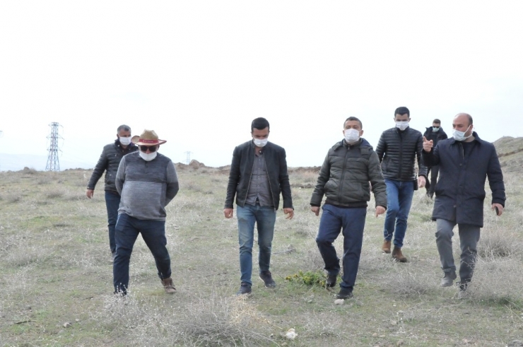 Kaymakam Mehmetbeyoğlu’ndan ‘Kent Ormanı’ Müjdesi