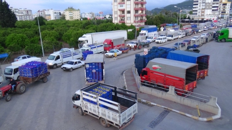 Antalya’da 3 Günlük Kısıtlamanın Ardından Kilometrelerce Kuyruk Oluştu