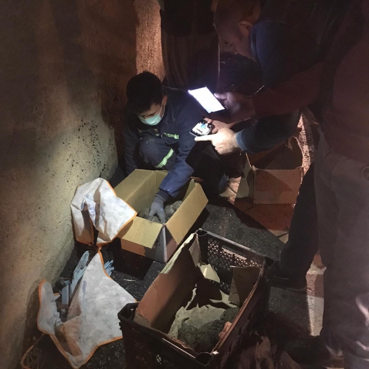 Çamura Saplanan Yavru Köpekleri Belediye Kurtardı