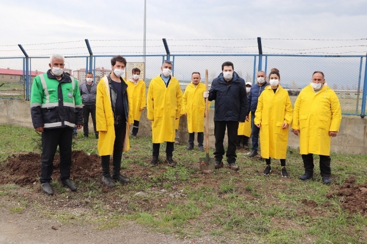 Ağrı Belediyesi 10 Bin Ağaç Dikecek