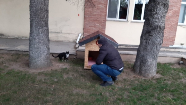 Rektör Çomaklı Kampüsteki Sokak Hayvanlarını Unutmadı