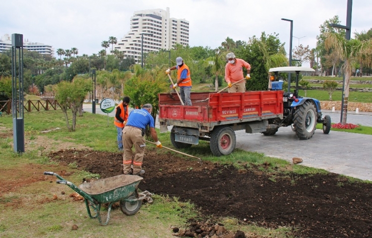 Konyaaltı Sahili Yaz Sezonuna Hazırlanıyor