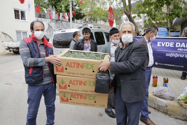 Büyükşehir’den Çiftçilere Fide Desteği