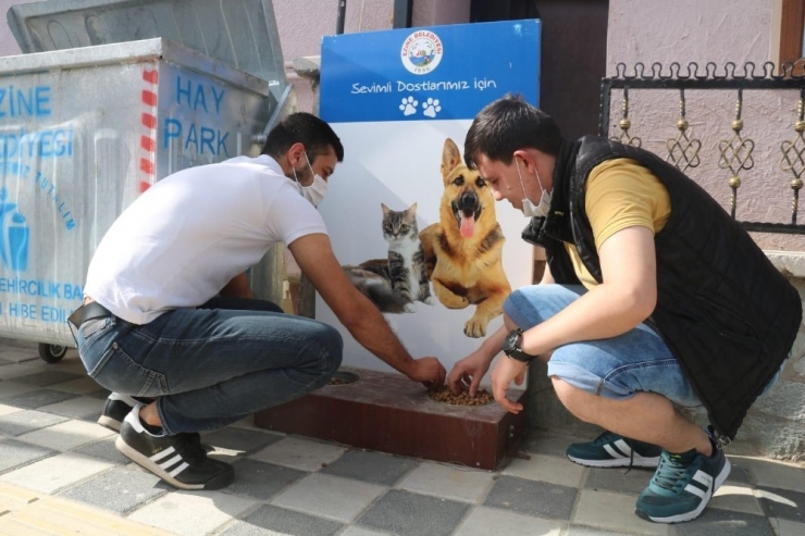 Ezineli Gençlerden Örnek Davranış