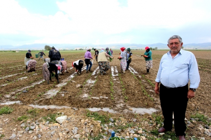 Çiftçiler Cumhurbaşkanı Erdoğan İçin Üretecek