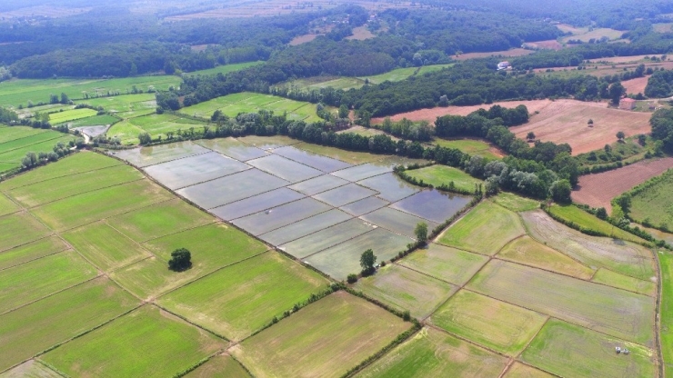 Sinop’ta 66 Bin 720 Dekar Tarım Arazisi Sulanacak