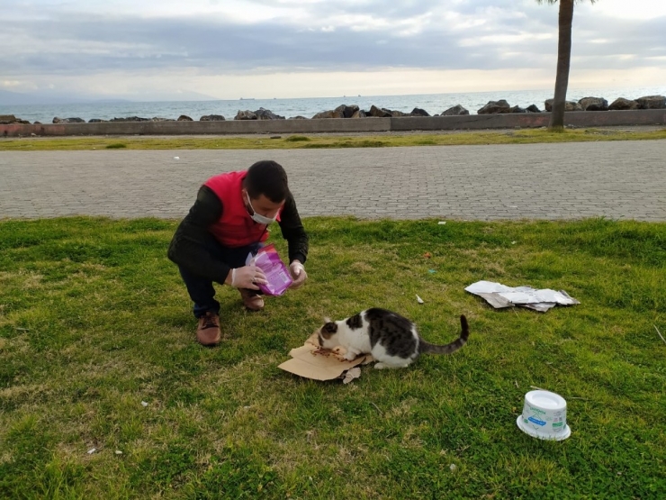 Gençlik Merkezleri Sokak Hayvanlarını Unutmadı