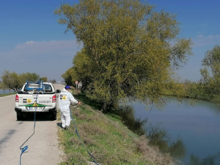 Büyükşehir 31 İlçede Haşereyle Mücadele Çalışması Yapıyor