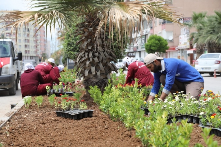 Kızıltepe’de Refüjler Çiçek Açtı