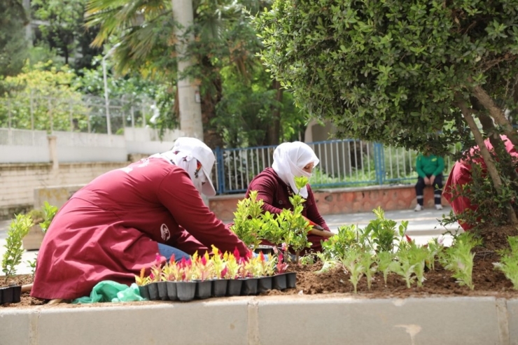 Kızıltepe’de Refüjler Çiçek Açtı