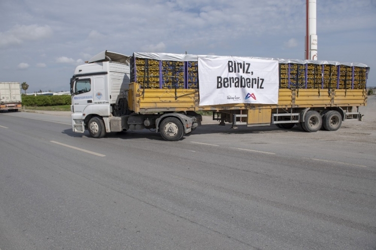 Mersin’in Limonları Bu Kez Başkent İçin Yola Çıktı