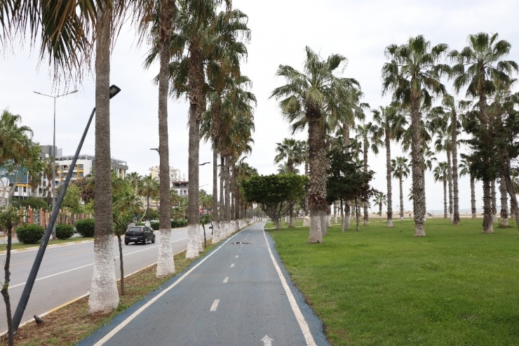 Mersin Sahillerinde Korona Virüs Sakinliği