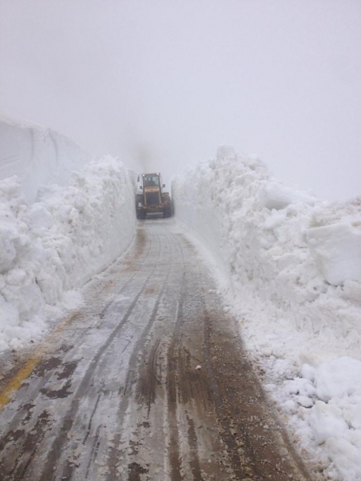 Ordu Yaylalarında Kar Mücadelesi