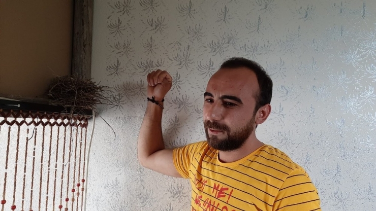 Korona Tedbirinde Kapatılan Berber Dükkanına Kuşlar Yuva Yaptı