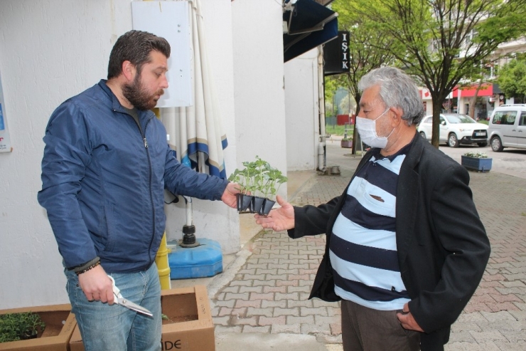 Salgın Muğla’da Fide Satışlarını Arttırdı