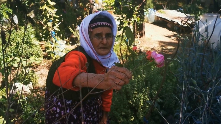 Selimiye’nin Adile Naşit’i