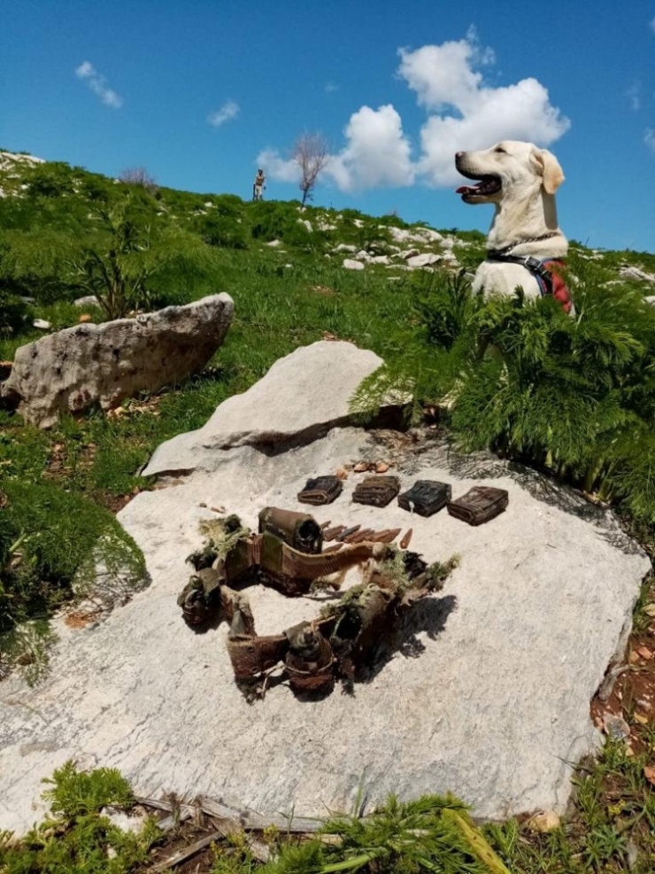Siirt’te Teröristlere Ait Mühimmat Ele Geçirildi
