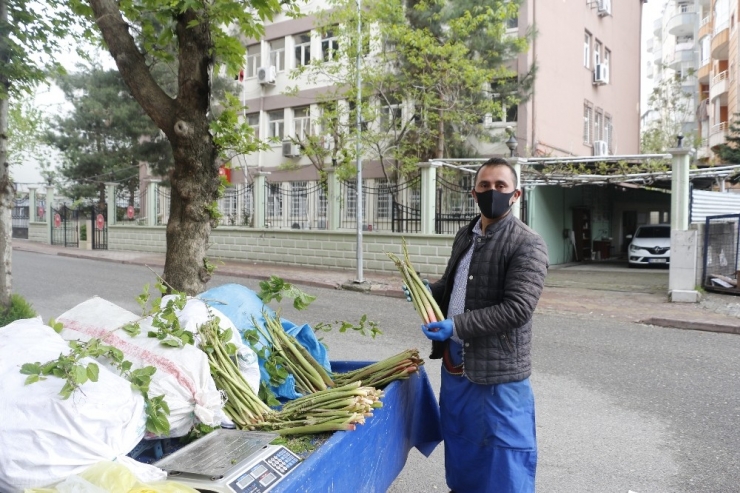 Siirt’te, Yayla Muzu Olarak Bilinen Işgının Fiyatları El Yakıyor