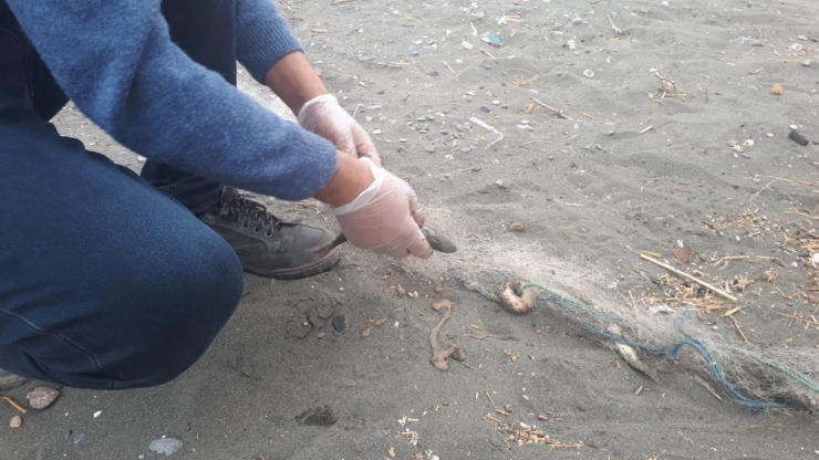 Bisikletli Kaçak Avcı, Avladığı 150 Kilogram Balığı Bırakıp Kaçtı