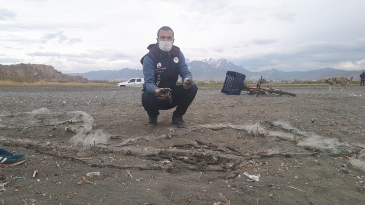 Bisikletli Kaçak Avcı, Avladığı 150 Kilogram Balığı Bırakıp Kaçtı