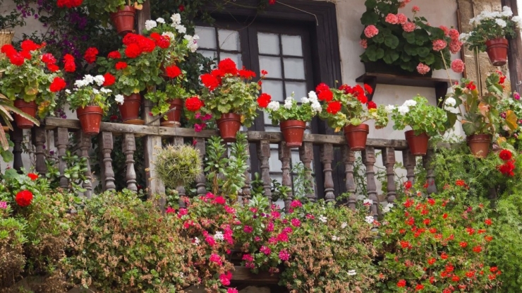 Ankara’da En Güzel Pencere, Balkon Ve Teraslar Yarışma İle Belirlenecek