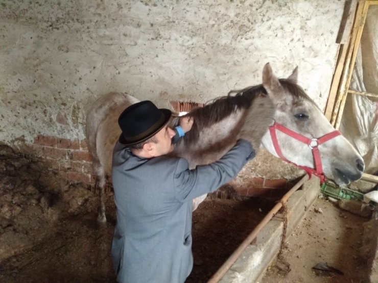 Cirit Atları Özenle Hazırlanıyor