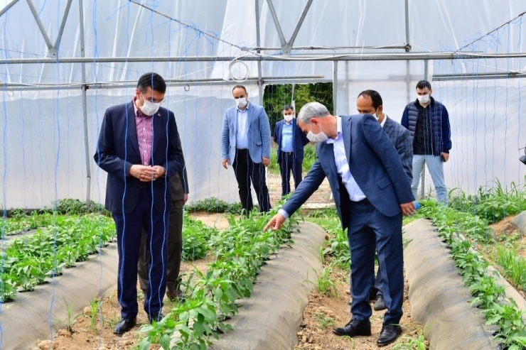 Yeşilyurt’ta Meyve Kurutma Ve Kükürtleme Tesisi Kurulacak